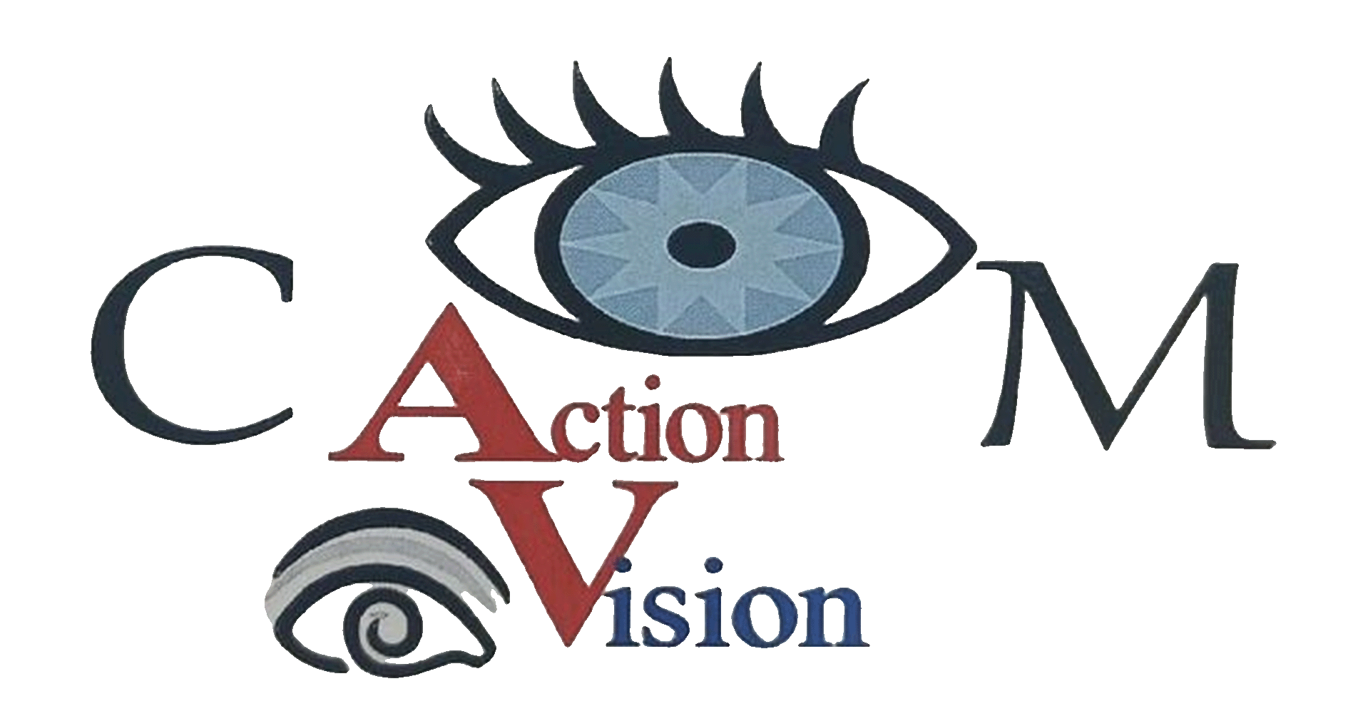 Action vision